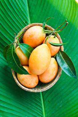 Marian Erik veya maprang