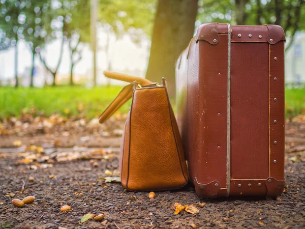 Vintage luggage against a bright sunny sky in the autumn season.