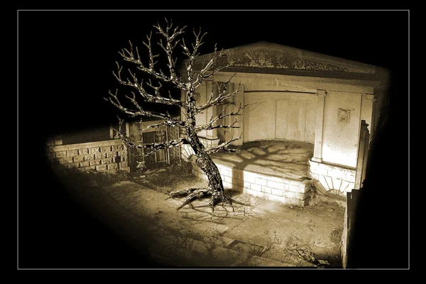 Tiyatro sembolü. Fotoğraf montaj 3d. Sahne Alanı'nda solmuş fantastik ağacıdır.