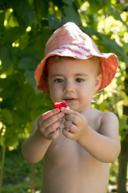 panama şapkalı bir ahududu tutan küçük bebek