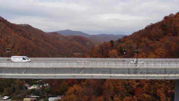 Luchtfoto van het viaduct van de snelweg op betonnen zuilen in de bergen. Drone vlucht langs de Autobahn in het groene dal bij bergdorp. Auto verkeer op brug weg. 4k — Stockvideo