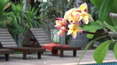 Otelde yüzme havuzu