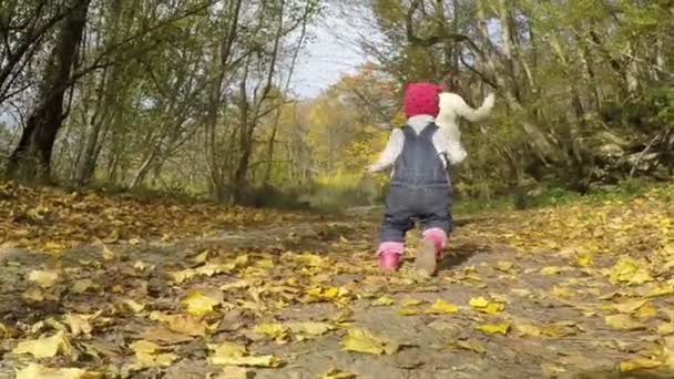 Madre e figlia che giocano nella foresta autunnale — Video Stock