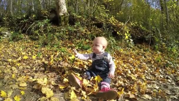 Niña jugando en el parque de otoño. Vídeo Full HD — Vídeo de stock