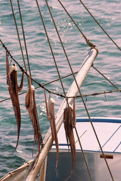 Essiccazione polpo e barca da pesca — Foto Stock