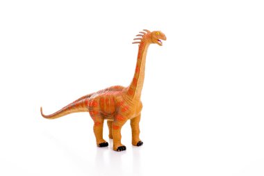 Beyaz arka planda izole edilmiş dinazorlar