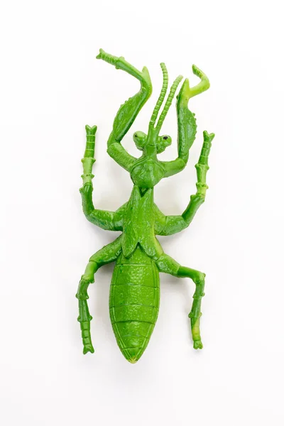 Mantis Brinquedo Isolado Fundo Branco — Fotografia de Stock