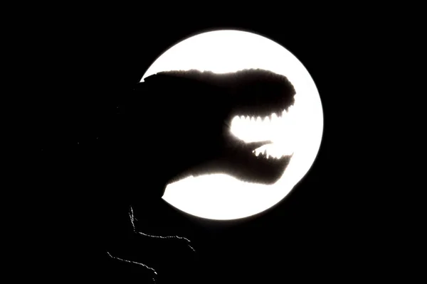 Silhouette Tyrannosaurus Rex Aislado Sobre Fondo Negro —  Fotos de Stock