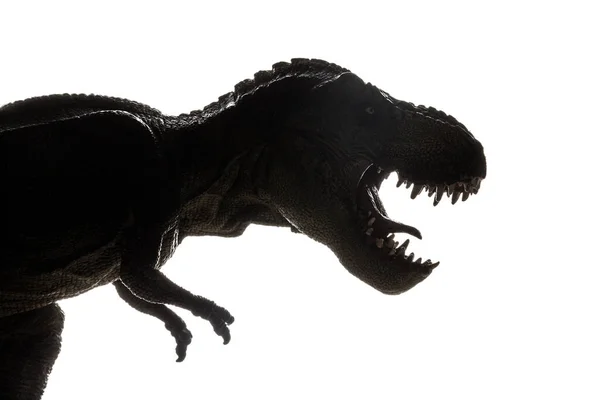 Tyrannosaurus Rex Brinquedo Isolado Fundo Branco — Fotografia de Stock