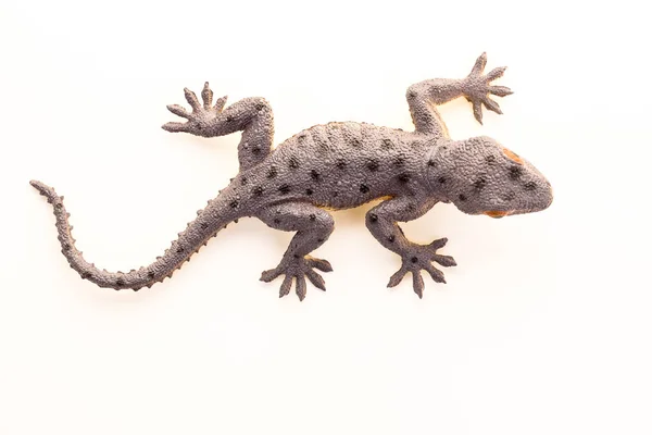 Juguete Lagarto Aislado Sobre Fondo Blanco —  Fotos de Stock