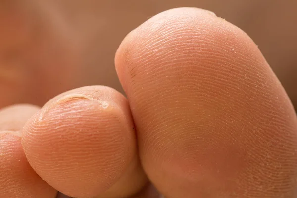 macro view of human toes