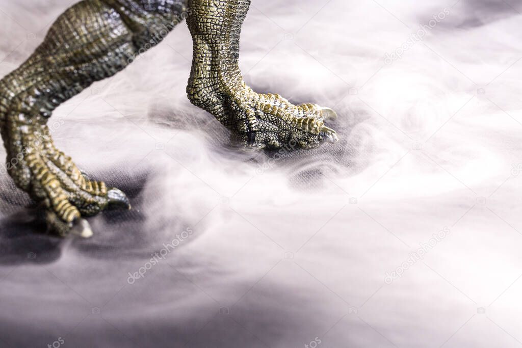 Paws of a ferocious tyrannosaurus walking in the fog