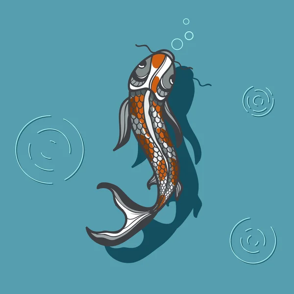 Ilustração do peixe Koi — Vetor de Stock