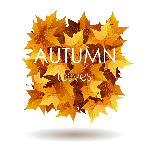 Modelo de folhas de outono colorido no fundo branco. Ilustração vetorial . —  Vetores de Stock