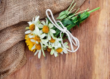 Evdeki sebze bahçesinden yeni kesilmiş zinnia çiçekleri.