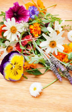 Kaba ve nötr yüzeyde kopyalanmış ilkbahar kır çiçekleri yatıyordu.