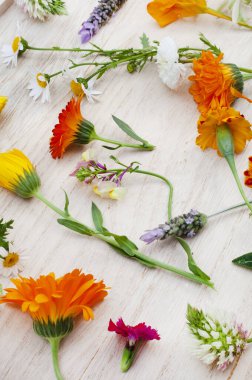 Kaba ve nötr yüzeyde kopyalanmış ilkbahar kır çiçekleri yatıyordu.