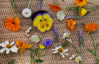 Kaba ve nötr yüzeyde kopyalanmış ilkbahar kır çiçekleri yatıyordu.