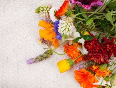 Kaba ve nötr yüzeyde kopyalanmış ilkbahar kır çiçekleri yatıyordu.