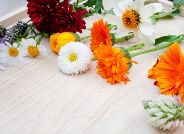 Kaba ve nötr yüzeyde kopyalanmış ilkbahar kır çiçekleri yatıyordu.