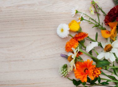 Kaba ve nötr yüzeyde kopyalanmış ilkbahar kır çiçekleri yatıyordu.