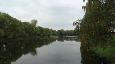 Moskova 'daki akademide yansımalı ve ağaçlı gölet.