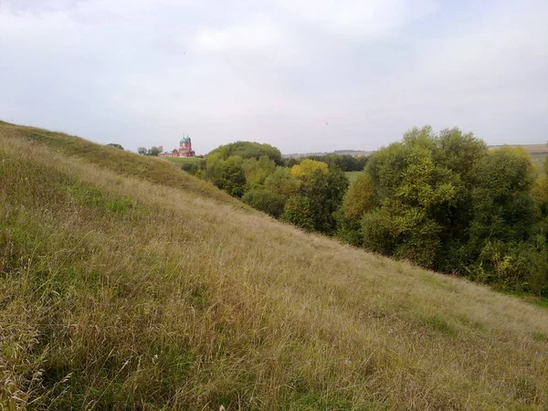 Пейзаж Холма Леса Неба Деревьев Листьев Травы Летом Осенью — стоковое фото