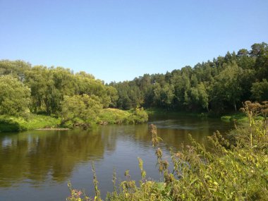 Ağaçlar, çimenler, gökyüzü ve güneşli ya da bulutlu gökyüzünün yansımasıyla kıyıdan gelen su manzarası