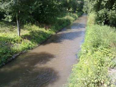Ağaçlar, çimenler, gökyüzü ve güneşli ya da bulutlu gökyüzünün yansımasıyla kıyıdan gelen su manzarası