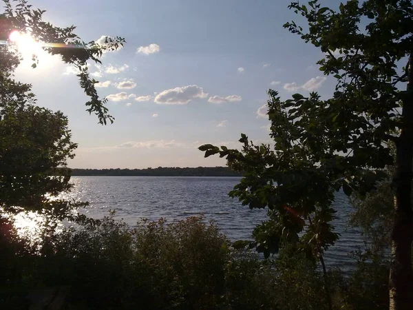 Vatten Landskap Från Stranden Med Träd Gräs Himmel Och Reflektion — Stockfoto