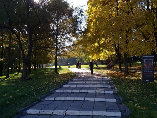 Paisaje Verano Otoño Con Objetos Naturaleza —  Fotos de Stock