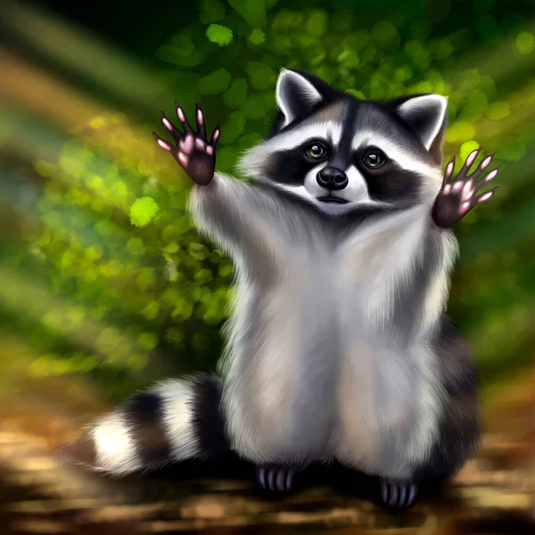 Cute raccoon with legs raised to the top, against the background of the forest, with glare and seeping rays of the sun