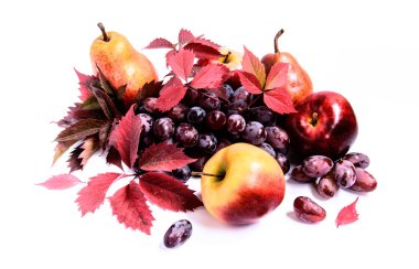 Kırmızı üzüm ile sonbahar yaprakları, elma ve armut