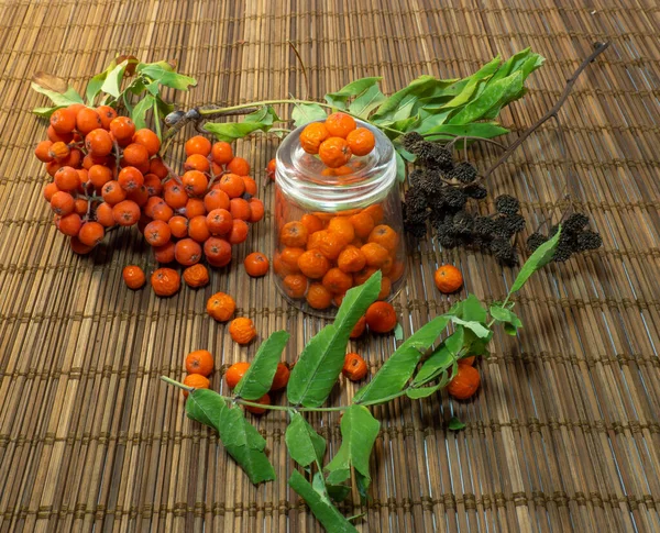 Bagas Rowan Sobremaduras Copo Uma Mesa Madeira — Fotografia de Stock