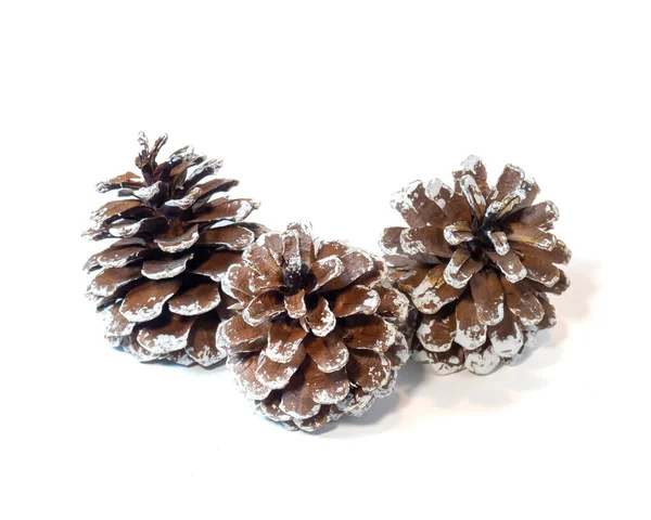 New Year Decoration Pine Cones Snow — Stock Photo, Image