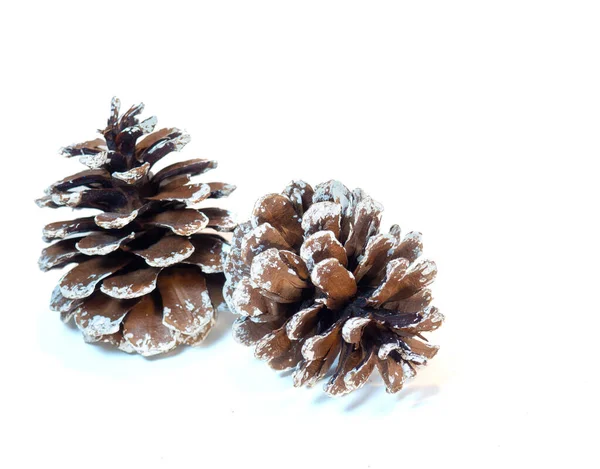 Two Snow Covered Fir Cones White Background — Stock Photo, Image