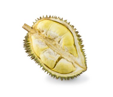 Yan Pzt tanga durian meyve beyaz zemin üzerine sarı durian
