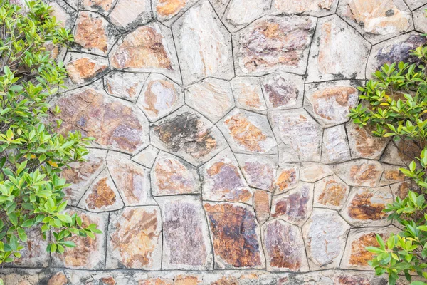 Alte Steinmauer Oberfläche — Stockfoto