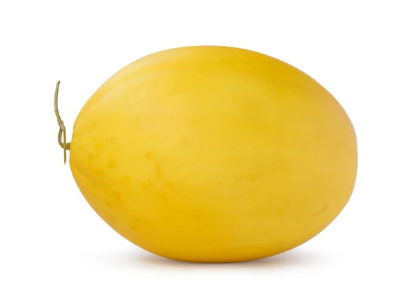 白色背景上的金色哈密瓜 — 图库照片