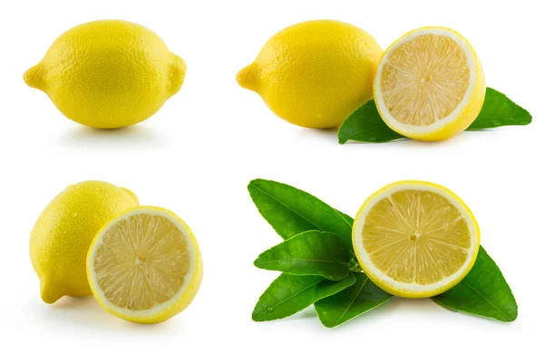 De collectie van citroen — Stockfoto