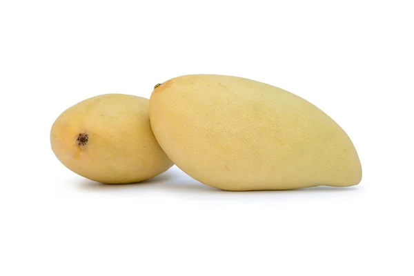 Reife Barrakuda-Mango — Stockfoto