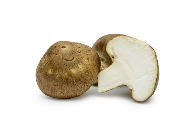 Beyaz arka planda izole edilmiş Şiitake mantarları