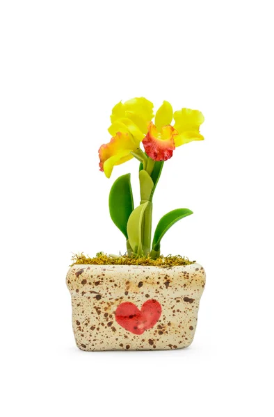 Flor colorida de la orquídea de arcilla — Foto de Stock