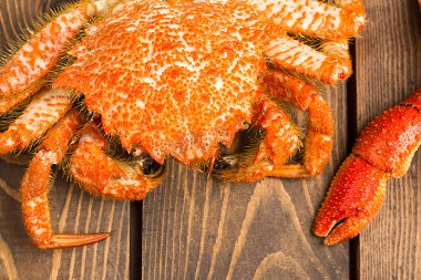 yengeçler ve pençeleri