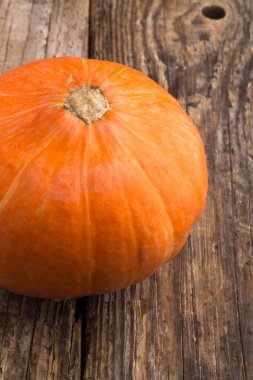  Kabak portakal büyük