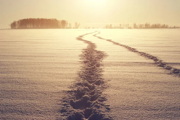 Krásný západ slunce na zasněžené ledového jezera a ostrov. — Stock fotografie