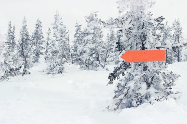 Kırmızı işaretçi ok ve snowy orman arka planda. Dağ s