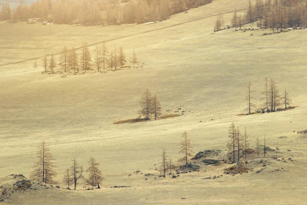 Altay montaña otoño o primavera paisaje, Severo-Tchuiskiy ridg —  Fotos de Stock