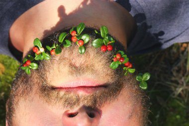 Bearded man with red bilberry berries in beard. closeup of a full beard. Beard with red berries.