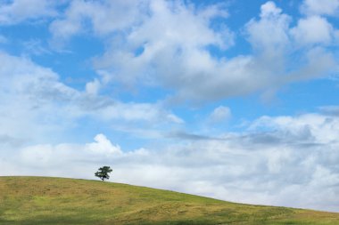 Lonely tree on the green hill. Beautiful blue sky with clouds. Serenity and happiness concept.